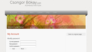 IRIS CMS admin panel